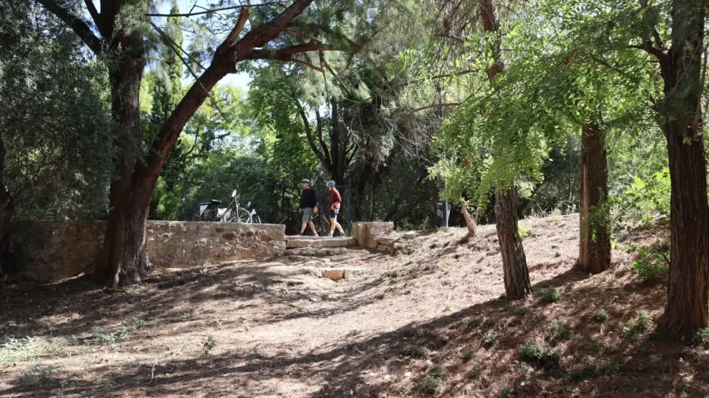 eBike tour stop among trees at Plato’s Academy excavation in Athens